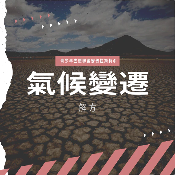 blog-post
