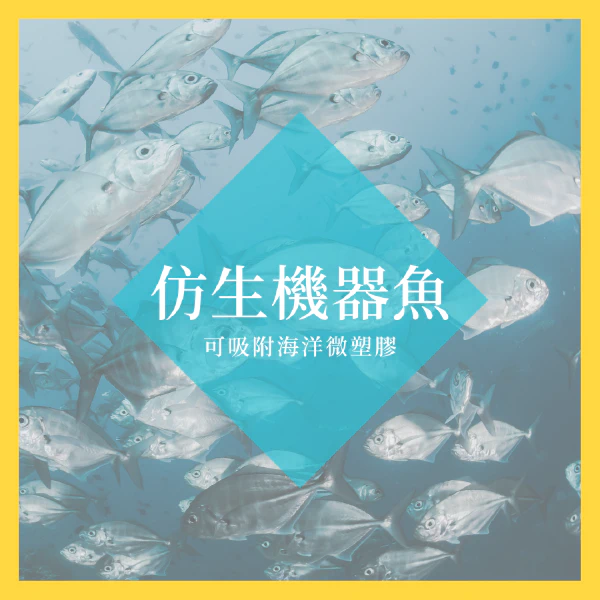 blog-post